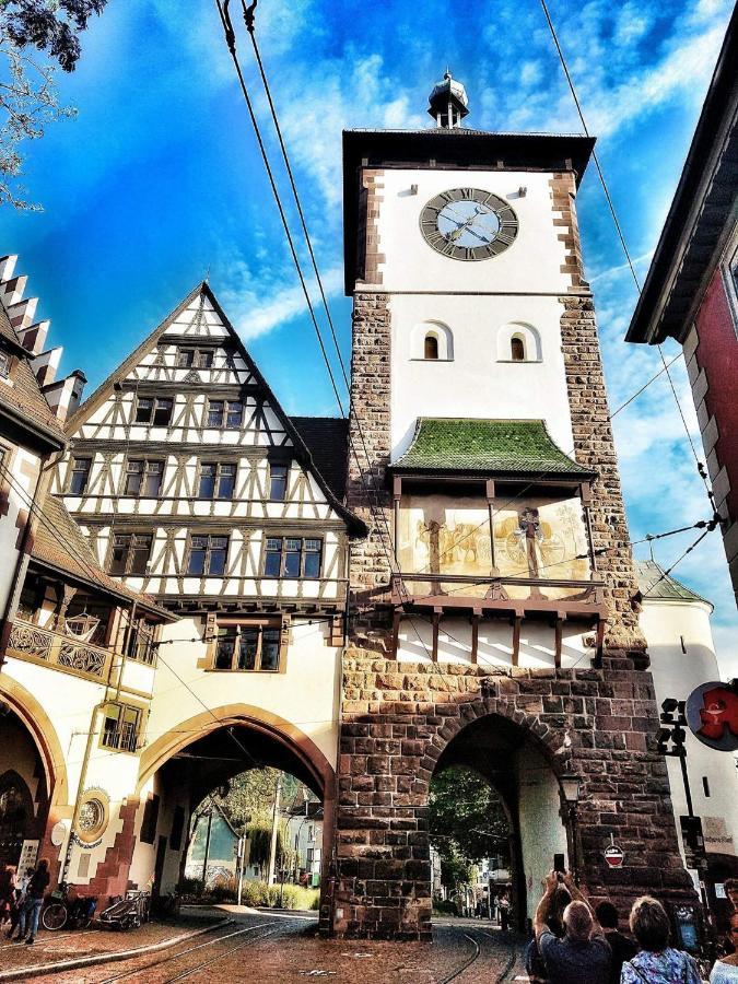 Historical Luxury Homes - Stadtvilla Mit Jacuzzi Und Garten * Fribourg im Breisgau