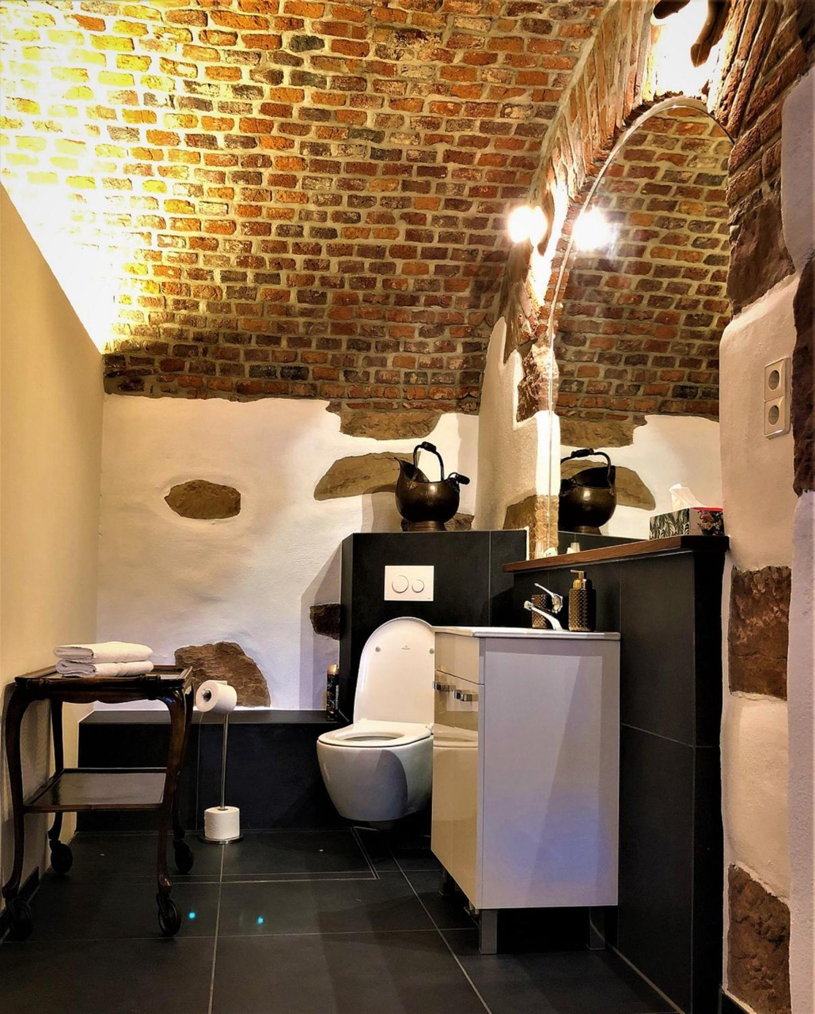 Historical Luxury Homes - Stadtvilla Mit Jacuzzi Und Garten Fribourg im Breisgau